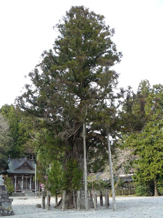 �v�����v�s���ǉ��u��Ð_��