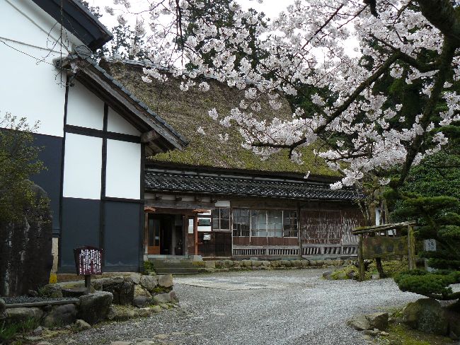 ���Êفi�ѓc�ƏZ��j