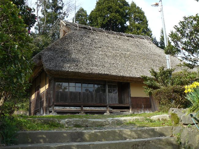 ����ƏZ��