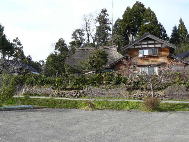 ����ƏZ��