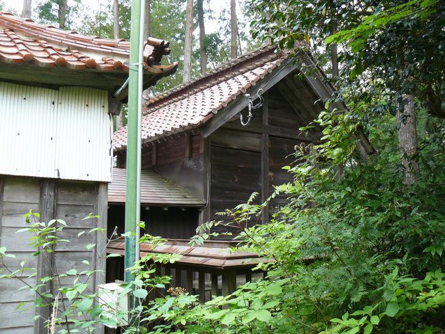 ���R�_��