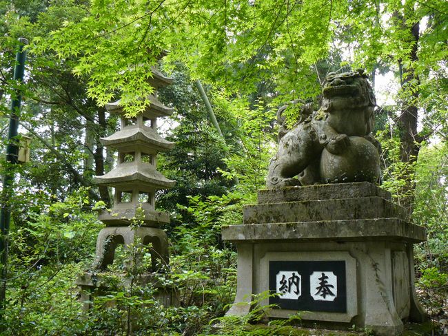 ���R�_��