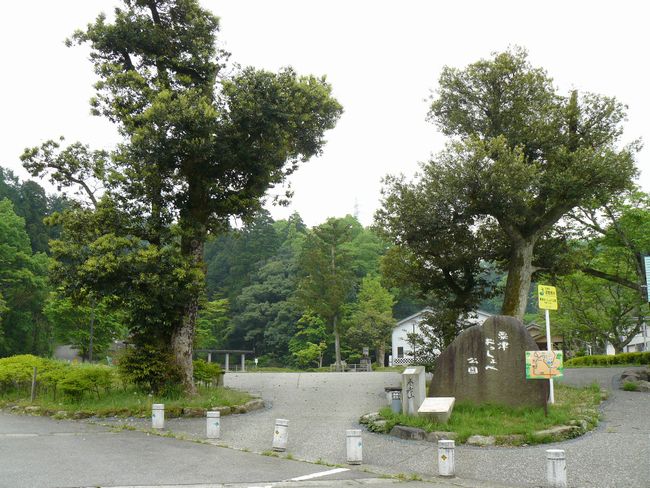 ��������׌���