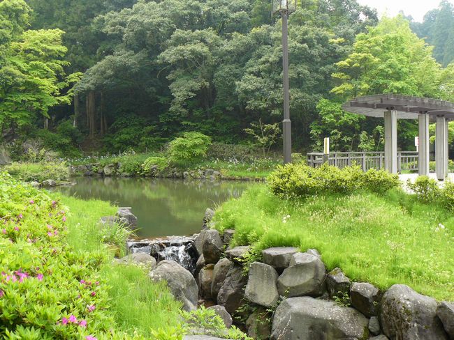 ��������׌���