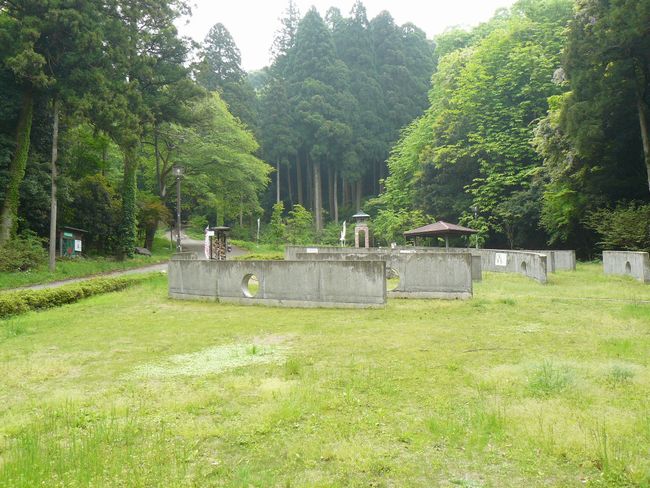 ��������׌���