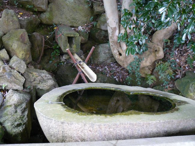 ���s����