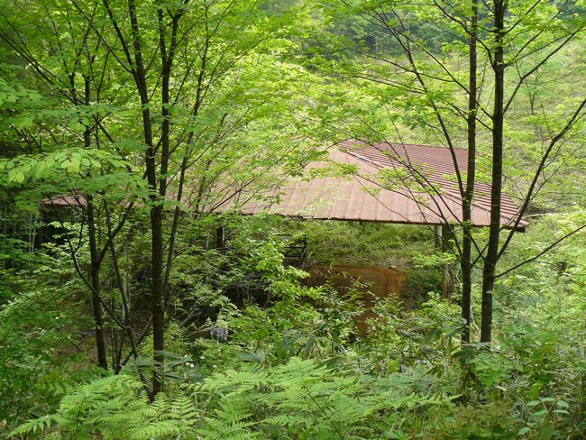 �����o��