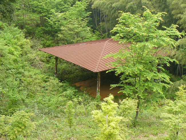 �����o��