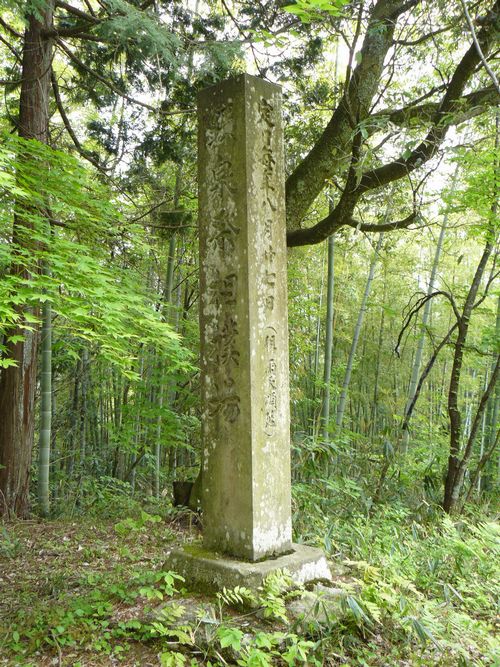 �����o��