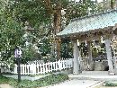 羽咋神社の参拝者の身を清める手水舎と大木を写した写真