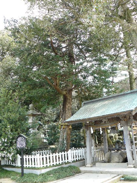 �H��s�E�H��_��