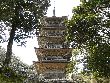 前田綱紀と縁がある妙成寺の五重塔