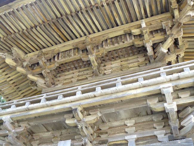 �������E���O