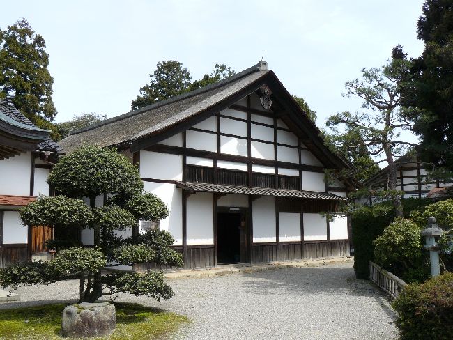 �������E�ɗ�