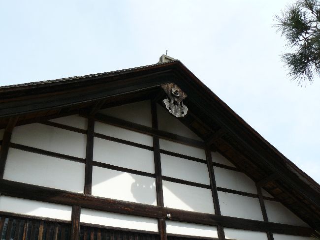 �������E�ɗ�