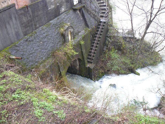 ������ꔭ�d��