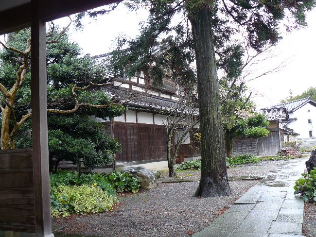 ����ƏZ��