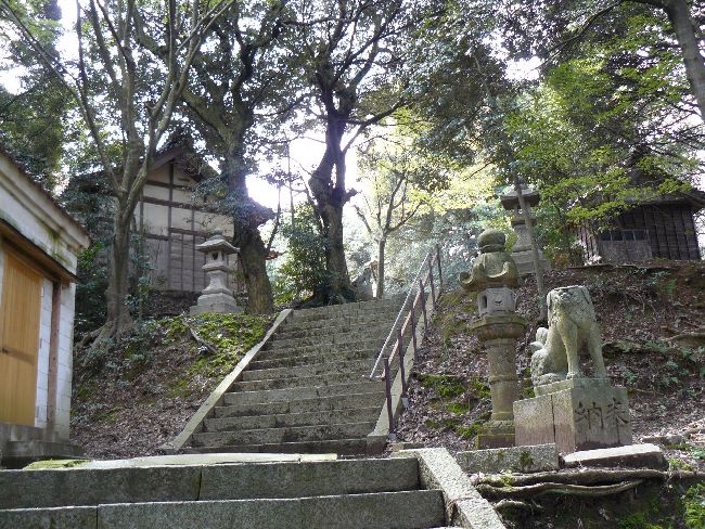 �o���_��