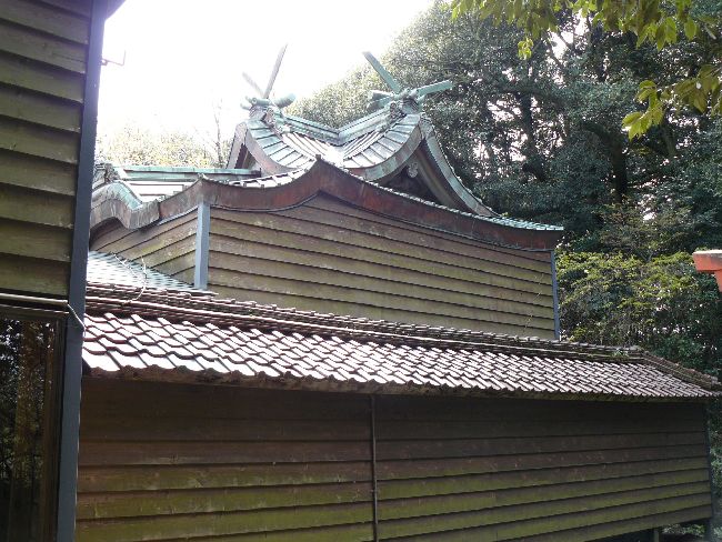 �o���_��