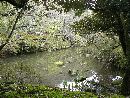 江沼神社庭園は静寂な雰囲気があります