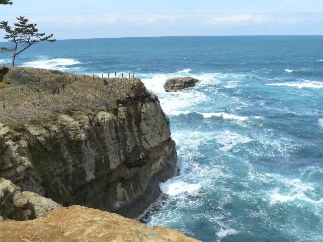 �����m��