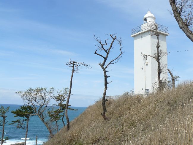 �����m��