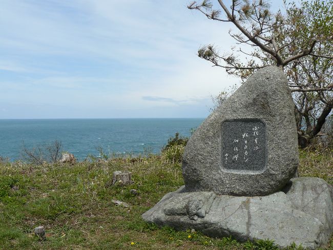 �����m��