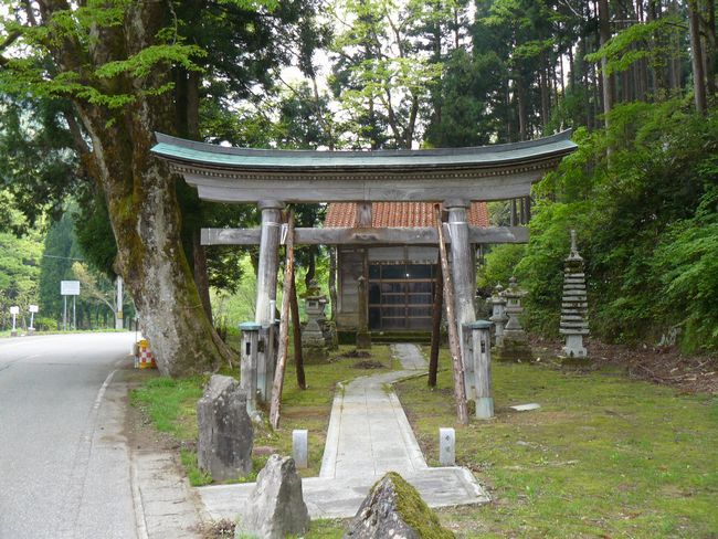 �R������E�g���_��