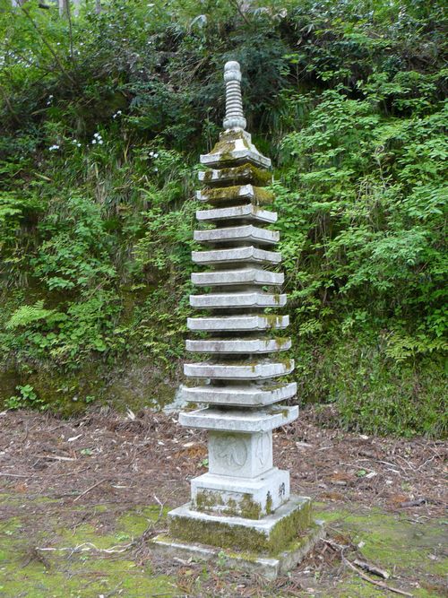 �R������E�g���_��