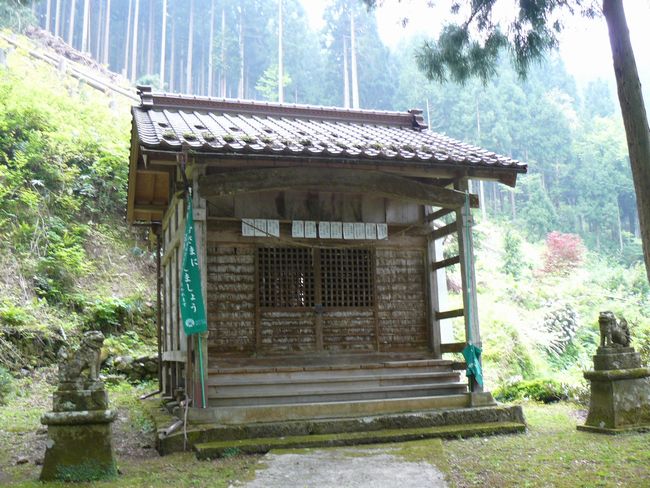 �R������E��y�_��