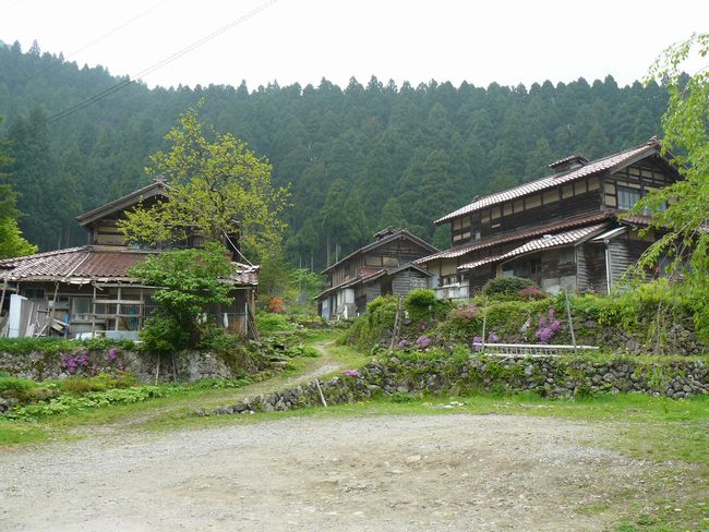 �R������E��y��