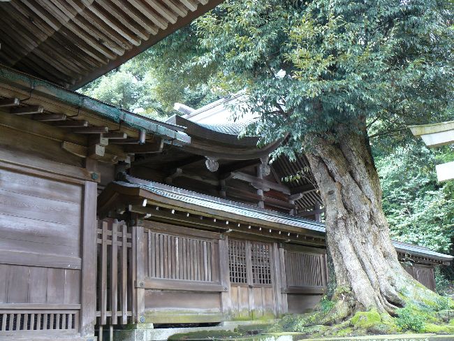 �����Ε��_��