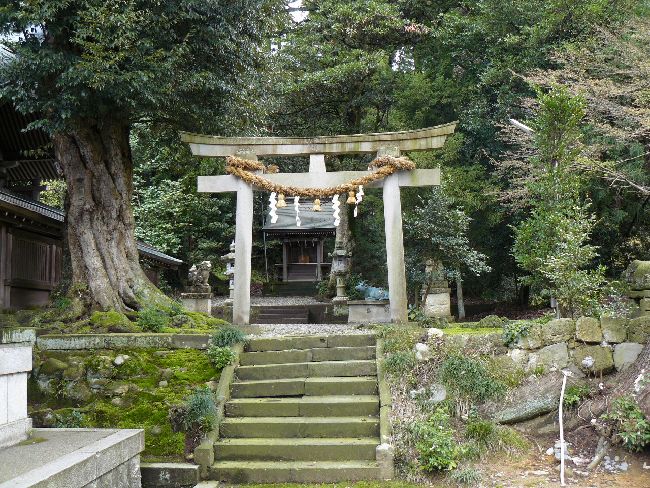 �����Ε��_��