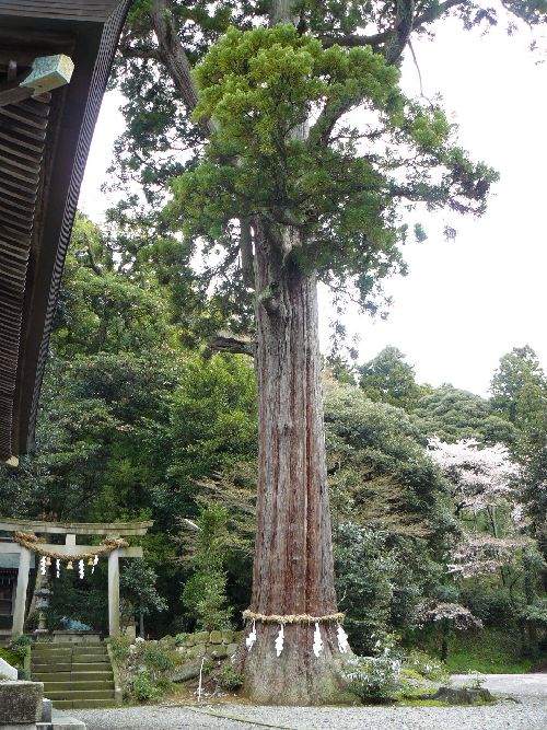 �����Ε��_��