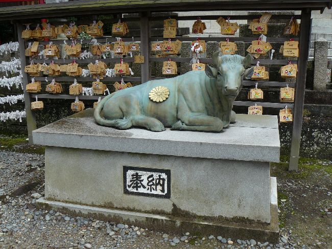 �����Ε��_��