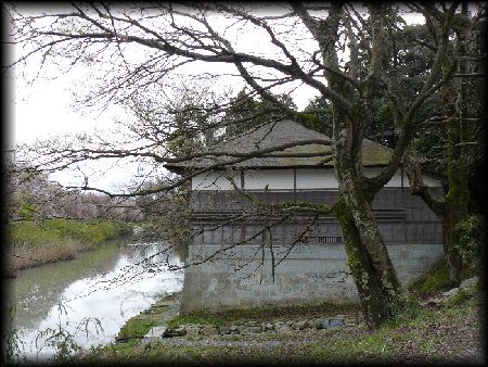 �������S�i���B�e�����摜