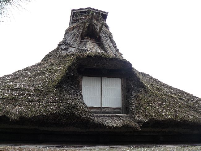 ���R�[�̎R�����Ɓi���t�؉ƏZ��j