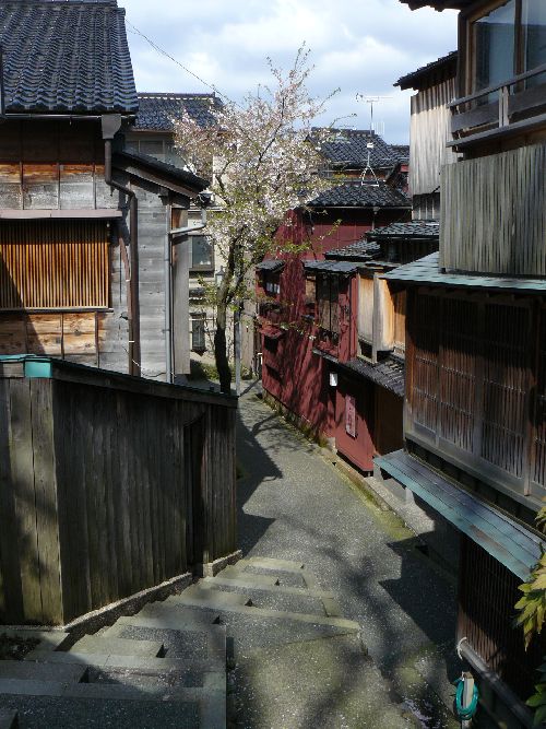 ��v�������X