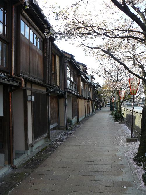 ��v�������X