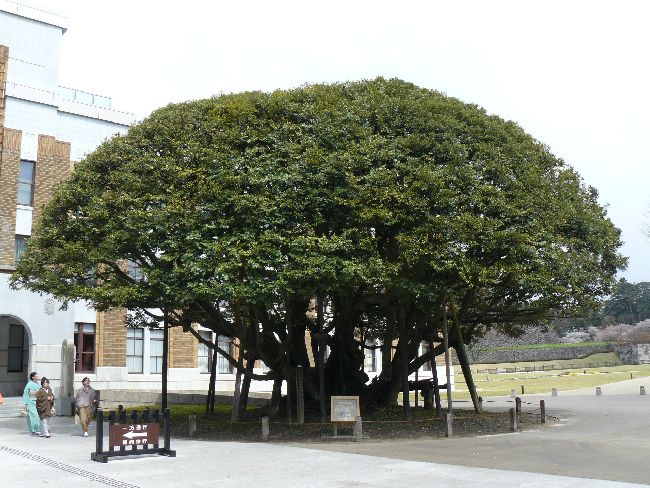 ���ΐ쌧����