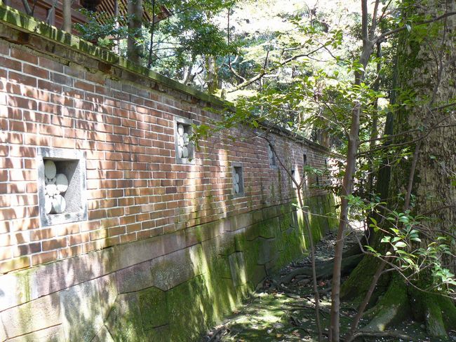 ���R�_��