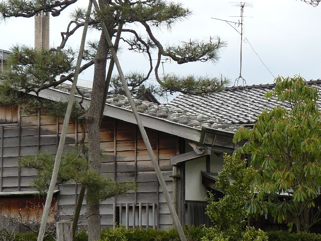 �����ƏZ��