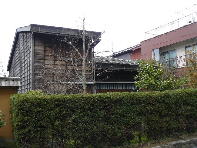 �����ƏZ��