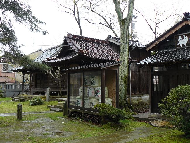 �����_��