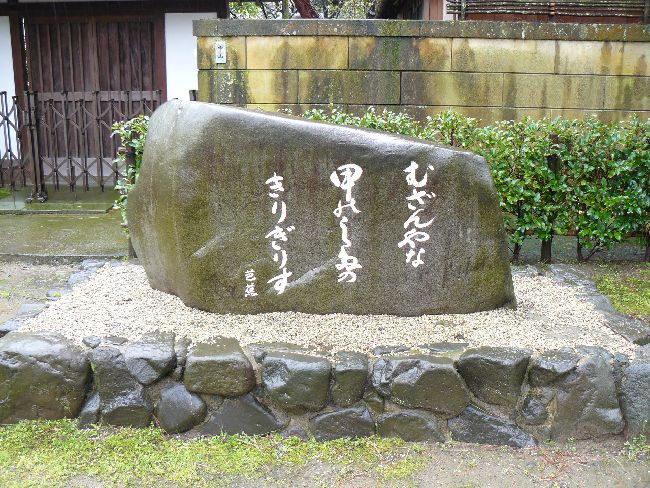 �����_��