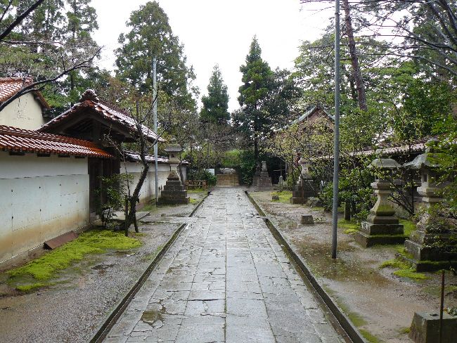 �����V���{