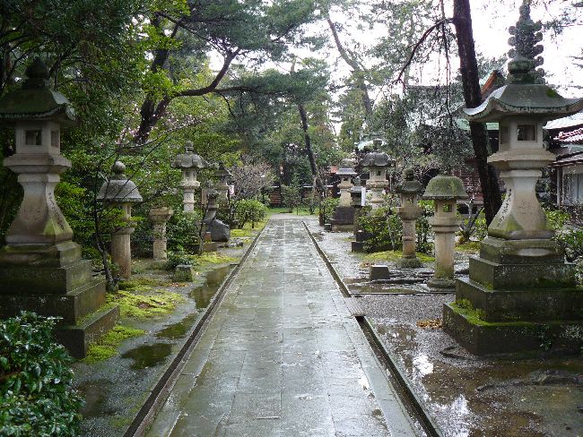 �����V���{