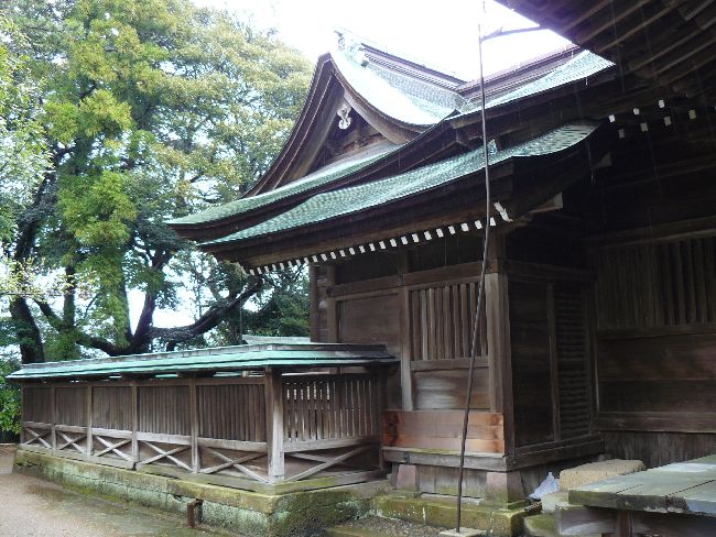 �����V���{