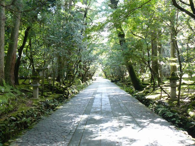 �ߒJ���E�Q��