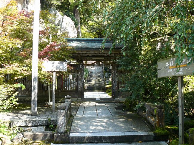 �ߒJ���E�Q��